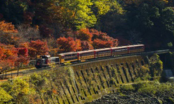 嵯峨野観光鉄道（トロッコ列車）