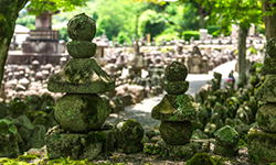 あだしの念仏寺（あだしのねんぶつじ）